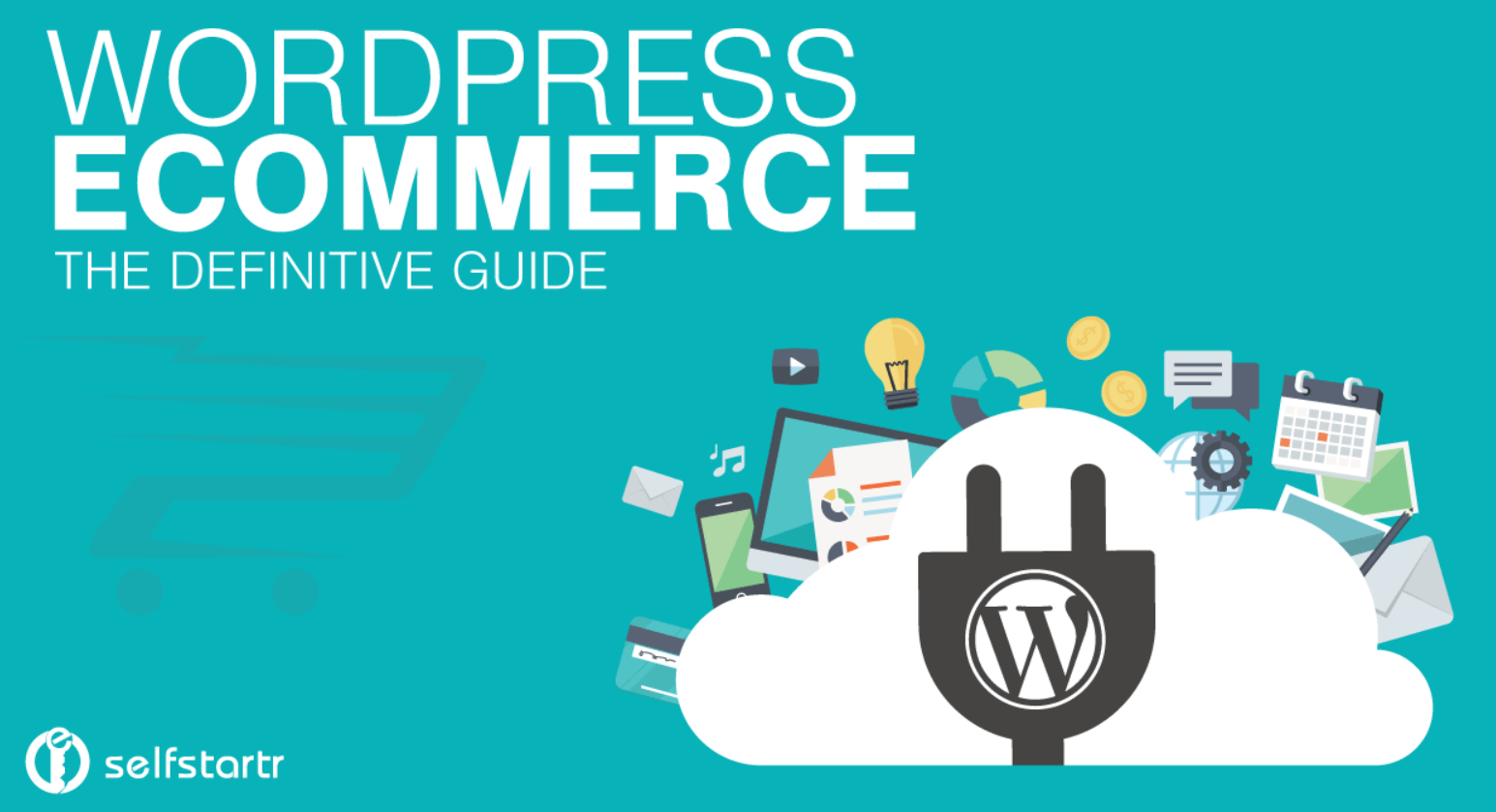 WordPress eCommerce Traffic