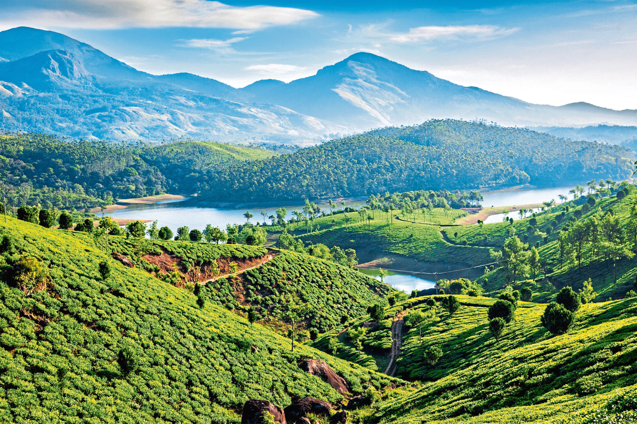 Pay a Visit to the 10 Most Iconic Tourist Places in Kerala