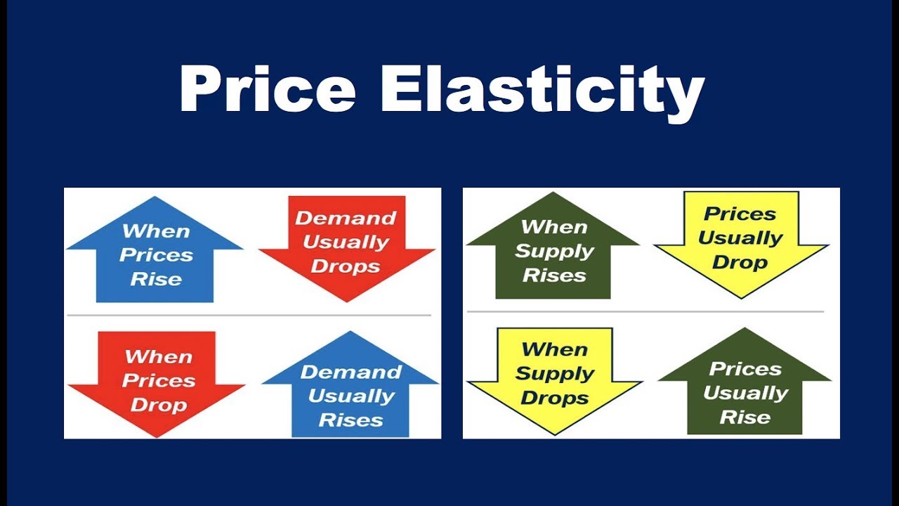 What is Price Elasticity of Demand?
