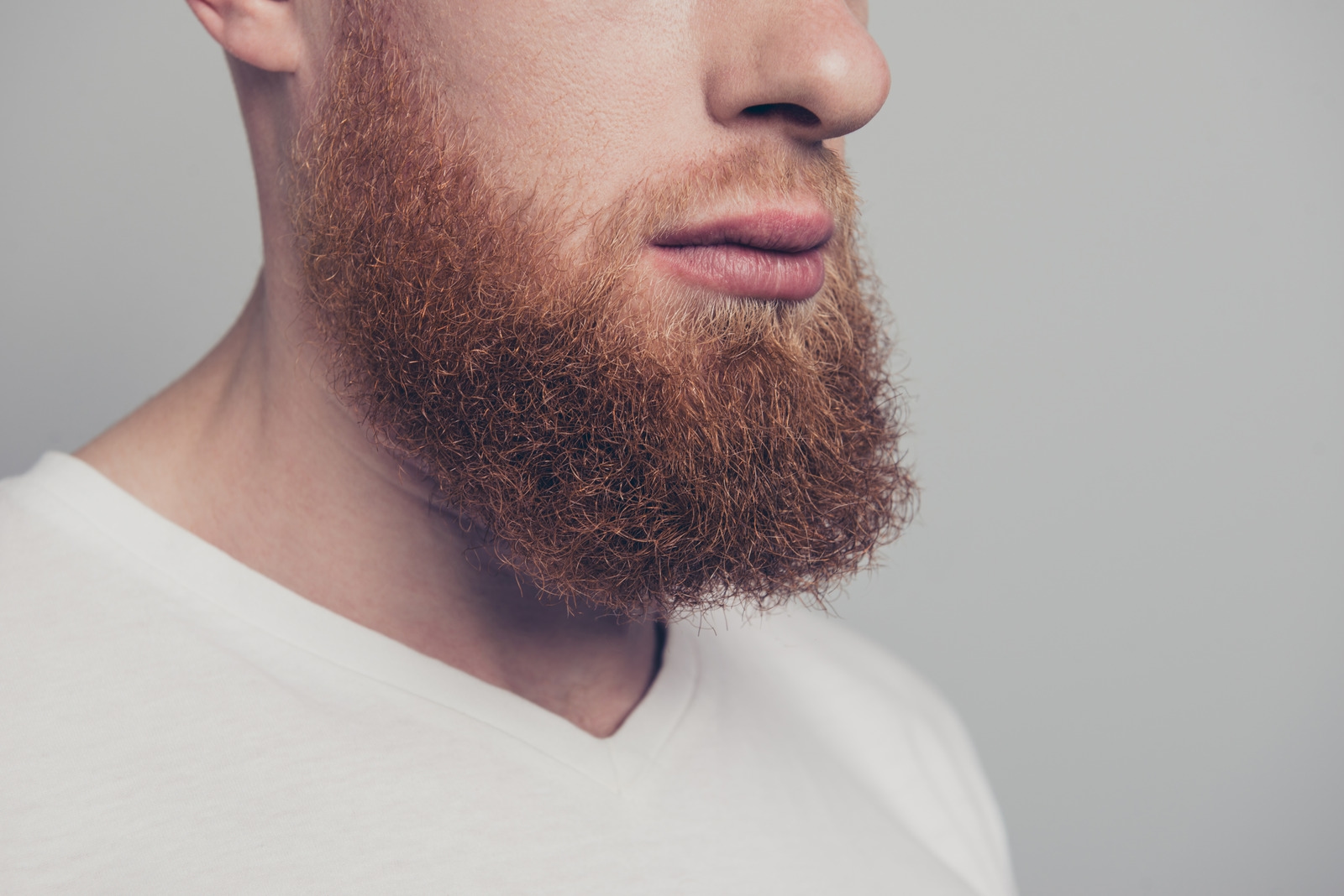 Tips For Choosing The Best Beard Care Products- Beards Base