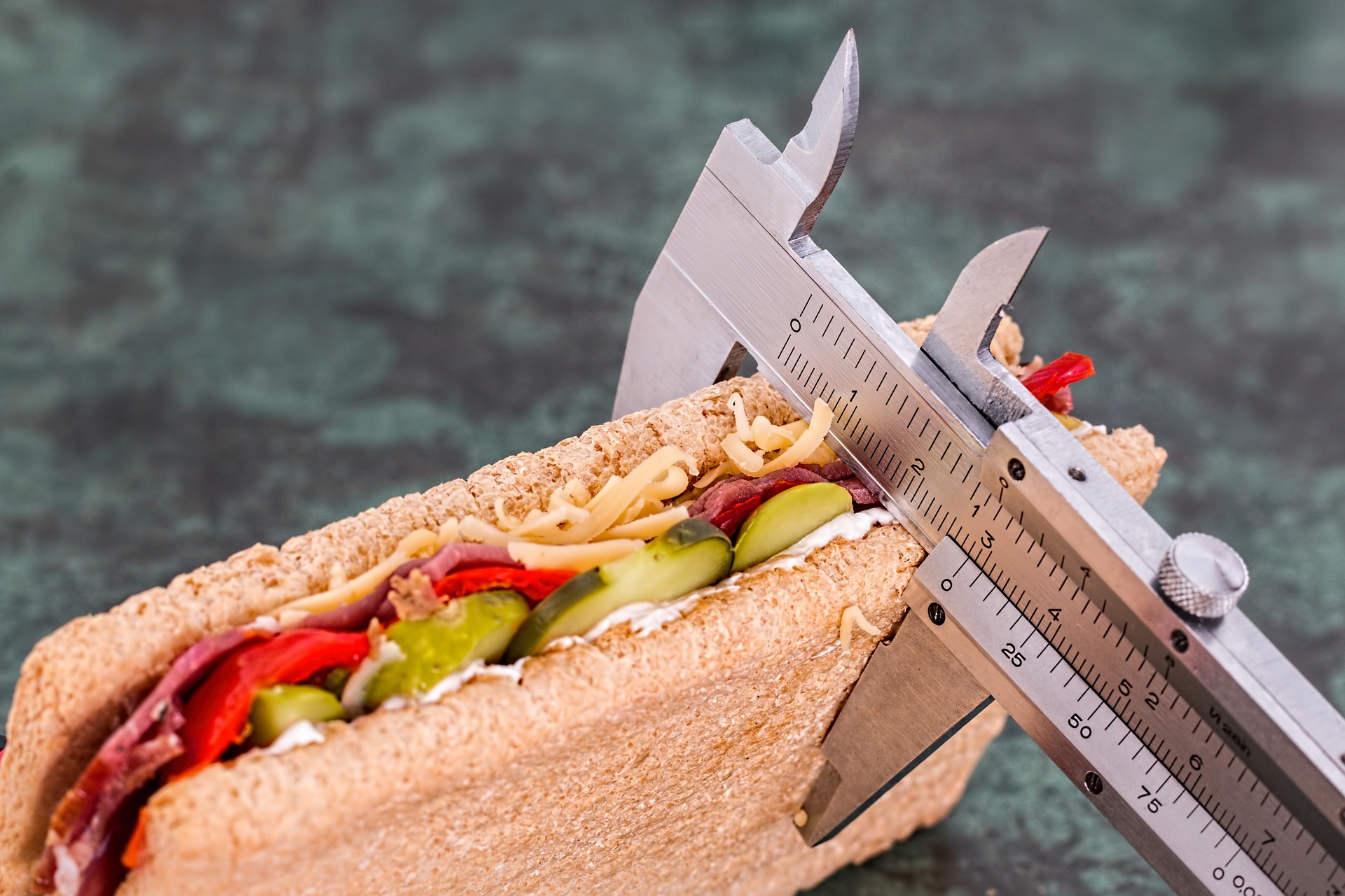7 Best Protein-Rich Foods and Their Importance in Our Daily Lives