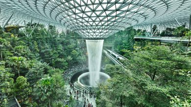 Places to Visit in Jewel Changi